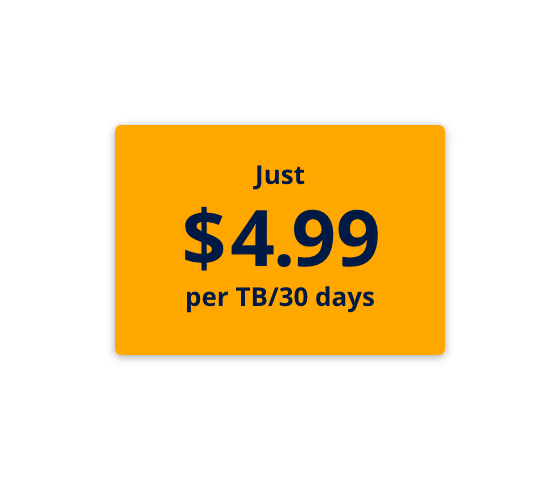 Just 4.99 Dollar per TB for 30 days