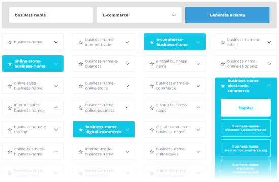 Business Name Generator choose a business name and secure it as a domain