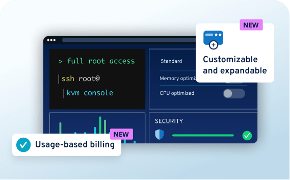 Technical Reliability of SEO-Dedicated Remote Servers