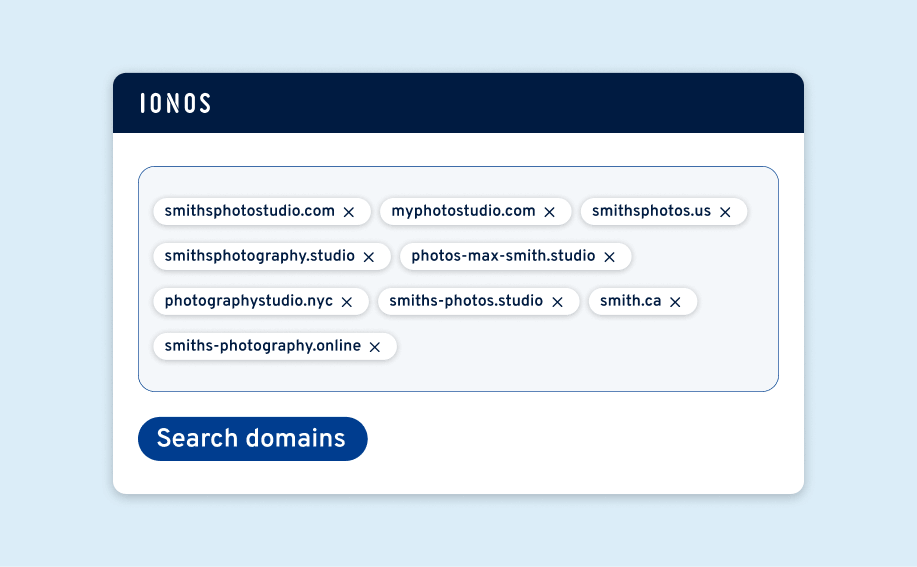 IONOS bulk domain search interface with multiple photography-related domain name pills and a Search button.