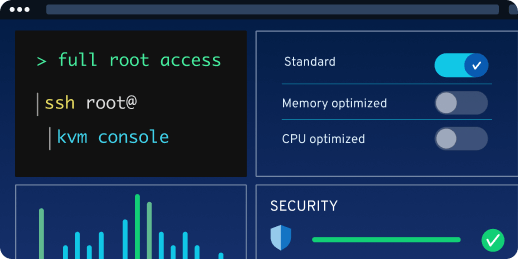 Hosting dashboard showing full root access, SSH, KVM console, and performance settings.