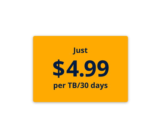 Just 4.99 Dollar per TB for 30 days